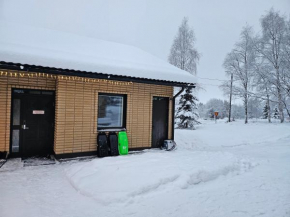 Rovaniemi City Apartment